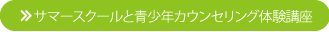 サマースクールと青少年カウンセリング体験講座